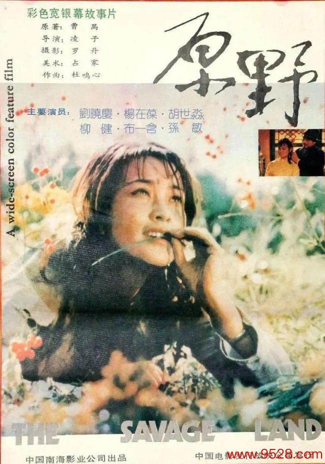 1981年 23万拍出的好电影 却遭禁映 7年后连获大奖