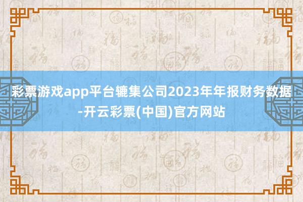 彩票游戏app平台辘集公司2023年年报财务数据-开云彩票(中国)官方网站